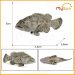 Bộ đồ chơi mô hình sinh vật biển cá mập Megalodon cá voi xanh sát thủ bền bỉ