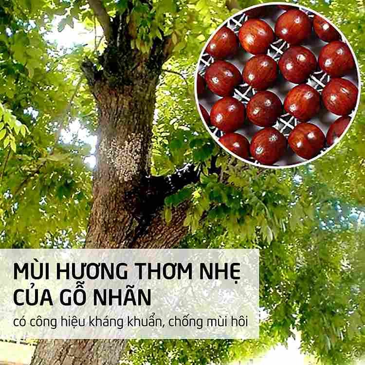 Đệm Hạt Gỗ PaKaSa Cao Cấp 45x45cm Lựa Chọn Tối Ưu Để Bảo Vệ Lưng Và Mông