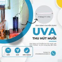 Đèn bắt muỗi, ruồi và các loại côn trùng Con Dơi