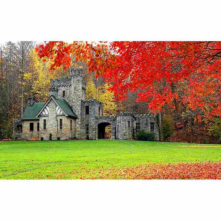 Khơi nguồn sáng tạo cùng bộ tranh xếp hình Lá Thu 1000 mảnh đầy màu sắc