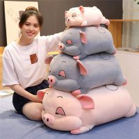 Lợn buồn ngủ mắt sụp gấu bông heo lười vải miniso 4 chiều siêu êm ái