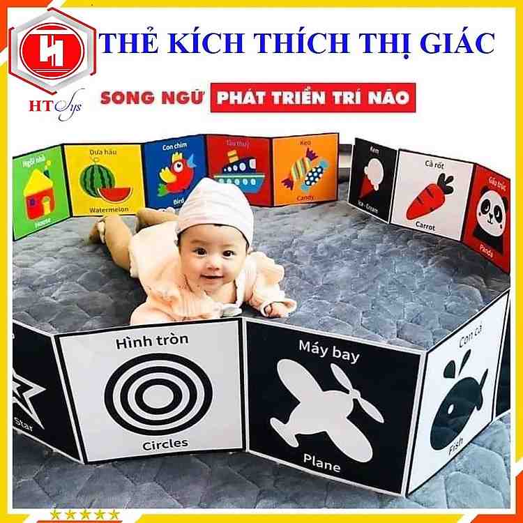 Trọn bộ 3 cuốn thẻ kích thích thị giác song ngữ Anh Việt cho bé khởi đầu thông minh