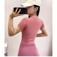 Áo croptop nữ đa năng hàng Quảng Châu cao cấp cho nàng tự tin tập gym và dạo phố