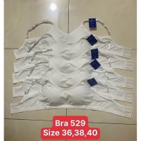 Áo ngực Angelavic 529 không gọng mút liền thun lạnh tăm cài sau đơn giản sang trọng