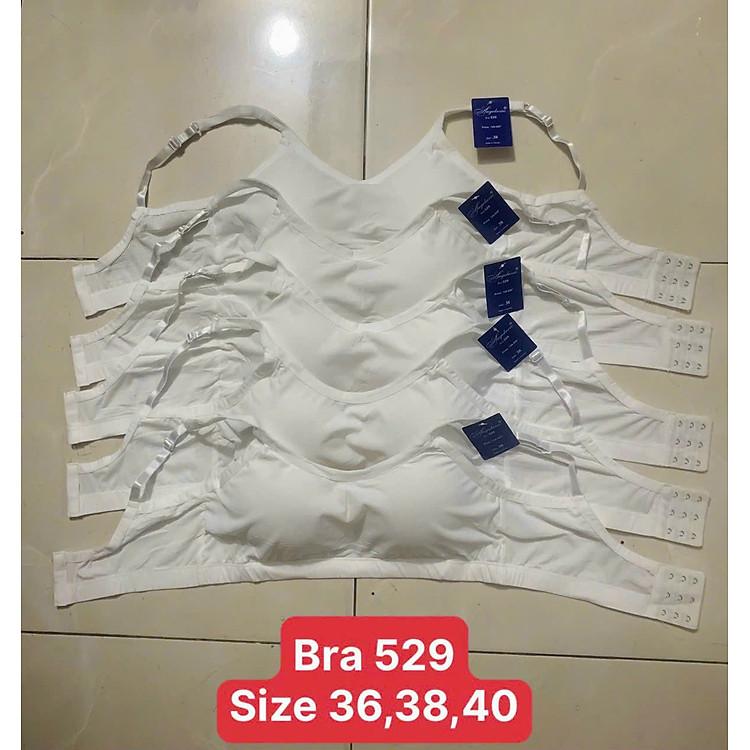 Áo ngực Angelavic 529 không gọng mút liền thun lạnh tăm cài sau đơn giản sang trọng