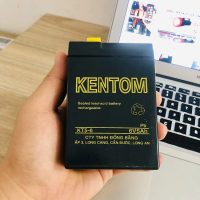 Bình ắc quy 6V 4.5AH chính hãng tối ưu hiệu suất cho đồ chơi và đèn sạc