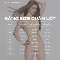 Bộ 3 quần lót nữ Miley Lingerie thun lụa sớ gỗ CD viền ren sự lựa chọn hoàn hảo