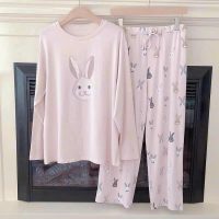 Cảm nhận sự khác biệt với bộ đồ ngủ dài tay cotton 126 in hình mèo cao cấp