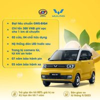 Đảm bảo suất mua xe điện Wuling Mini EV 170km với phiếu đặt cọc xác thực từ đại lý