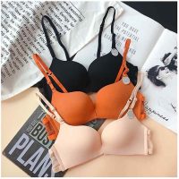 Dòng áo bra đúc liền không gọng CT03 giúp tôn dáng vòng một đầy quyến rũ
