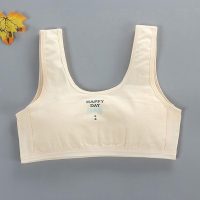 Mẫu áo lót lá cotton học sinh mới nhất năm nay dành cho bé gái từ 10 đến 15 tuổi