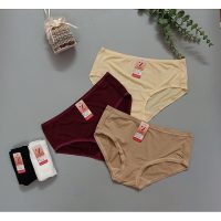 Nội y nữ thun lạnh cao cấp Vicci 106 Hipster mỏng nhẹ thoáng mát kháng khuẩn chuyên sâu