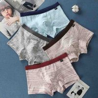 Quần lót nam dáng đùi chất cotton cao cấp hộp 4 cái phong cách trẻ trung năng động