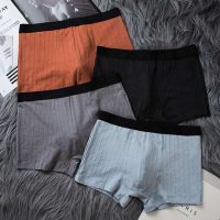 Quần sịp boxer nam kháng khuẩn Hàn Quốc sự kết hợp hoàn hảo giữa thời trang và sức khỏe
