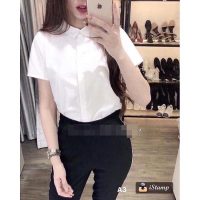 Sơ mi trắng nữ cộc tay vải thô Nhật dư xịn mang lại vẻ ngoài chuyên nghiệp