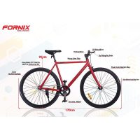 Xe đạp Fixed Gear Fornix BF200 mạnh mẽ trả góp 0% bảo hành 12 tháng tận nơi