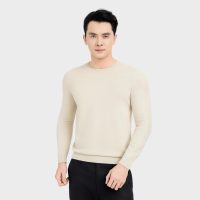 Áo Len Nam Aristino: Basic, Regular Fit, Mua Ngay Để Sở Hữu Phong Cách Của Người Thành Công
