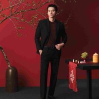 Áo Thun Len Nam Aristino Business: Phong Cách Đẳng Cấp, Giá Trị Vượt Trội