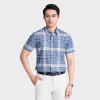 Aristino: Áo sơ mi caro Regular Fit - Biểu tượng của sự nam tính và thành công.