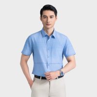 Aristino - Áo Sơ Mi Nam: Đồng Hành Cùng Bạn Trên Mọi Nẻo Đường