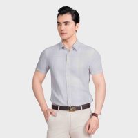 Aristino áo sơ mi nam xám kẻ slim fit - Món quà ý nghĩa cho phái mạnh