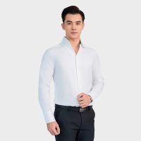 Aristino Business: Áo Sơ Mi Nam – Biểu Tượng Cho Sự Chuyên Nghiệp