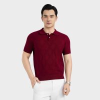 Aristino Polo: Phong cách nam tính, chất lượng vượt trội, giá hợp lý