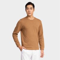 Aristino Sweatshirt Nam: Sự Kết Hợp Hoàn Hảo Giữa Thương Hiệu và Chất Lượng