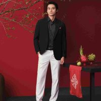 Blazer Aristino Premio: Sự lựa chọn hoàn hảo cho những người yêu thời trang