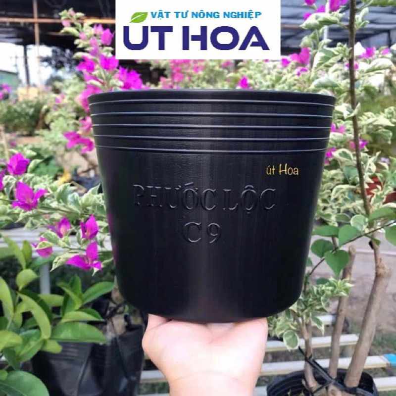 Chậu nhựa đen C9 giá sỉ số lượng lớn: Đáp ứng mọi nhu cầu, giao hàng nhanh chóng, tiện lợi