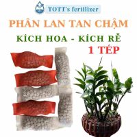 Đánh thức tiềm năng của lan với combo 36 tép phân bón, kích rễ, kích hoa