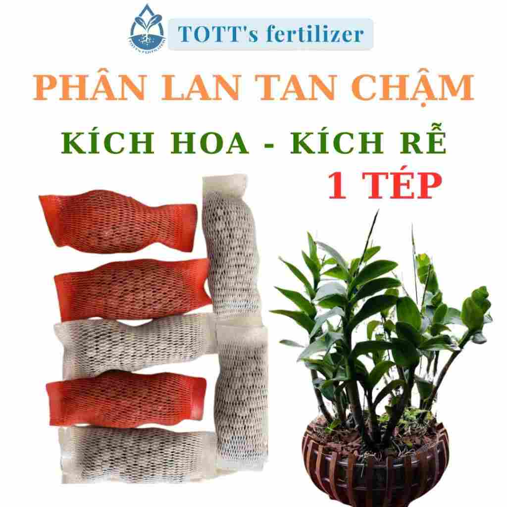 Đánh thức tiềm năng của lan với combo 36 tép phân bón, kích rễ, kích hoa