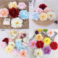 Đầu hoa mẫu đơn Tết - Nâng tầm giá trị thẩm mỹ cho không gian sống của bạn.