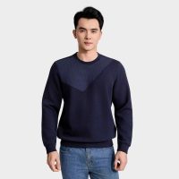 Đừng Bỏ Lỡ: Áo Nỉ Aristino Regular Fit - Phong Cách, Chất Lượng, Giá Trị