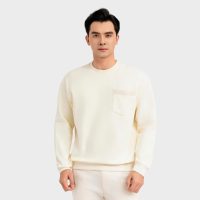 Đừng Bỏ Lỡ! Áo Nỉ Sweatshirt Aristino Nam - Xu Hướng Thời Trang Mùa Thu