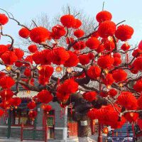 Giải pháp trang trí Tết 2025: Đèn lồng đỏ và cầu tròn tổ ong nilon tiện lợi, đẹp mắt