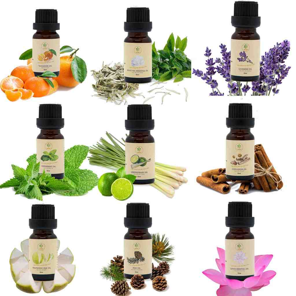 HEIWA: Tinh dầu Ấn Độ 23 loại - Giải pháp thông minh cho không gian sống thơm thoang, sạch muỗi