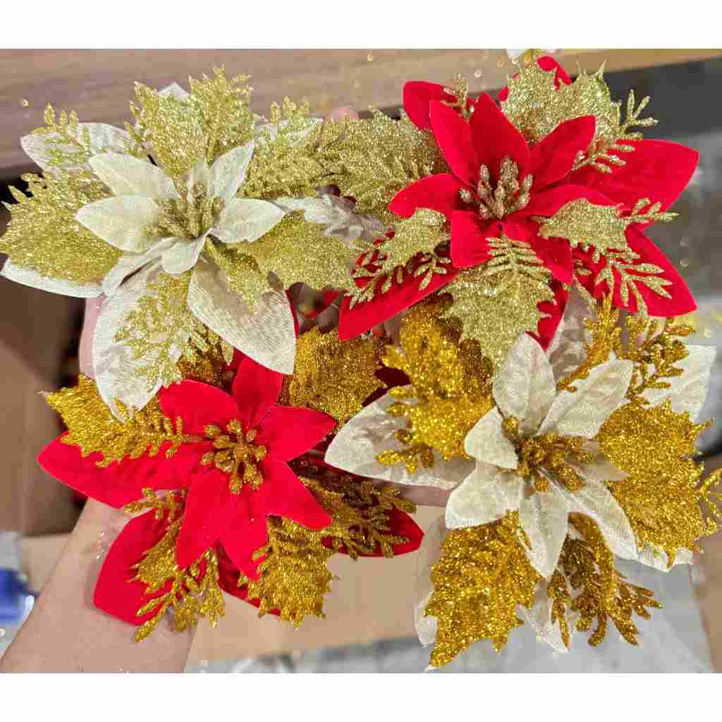 Hoa trạng nguyên, oản lộc, cây thông Noel - Trang trí nhà cửa thêm phần sinh động