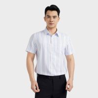Nhanh tay sở hữu áo sơ mi nam kẻ xanh Aristino Regular Fit - Ưu đãi hấp dẫn!