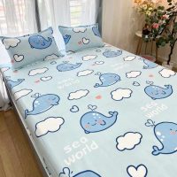 Nhanh tay sở hữu bộ ga giường cotton poly 3 món - Chất lượng tuyệt vời!