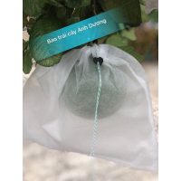Tạo Dáng Hoa Tulip Giả Lizflower: Biến Tấu Không Ngừng, Thể Hiện Cá Tính