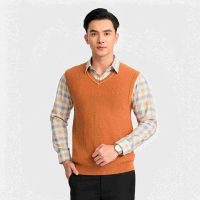 Tự Tin, Thanh Lịch Với Áo Gile Aristino Regular Fit - Phong Cách Quý Ông