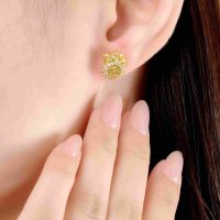 Bông tai vàng 14K PNJ đính đá ECZ: Vẻ đẹp tinh tế, khẳng định phong cách riêng