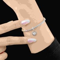 Hạt Charm Bạc PNJ STYLE: Biểu tượng cho sự thành công và may mắn