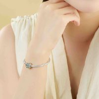 PNJSilver Charm Bạc Đính Đá Cỏ 4 Lá: Sở hữu ngay để đón may mắn!